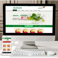 （手机数据同步）营销型药品药业制药保健品网站